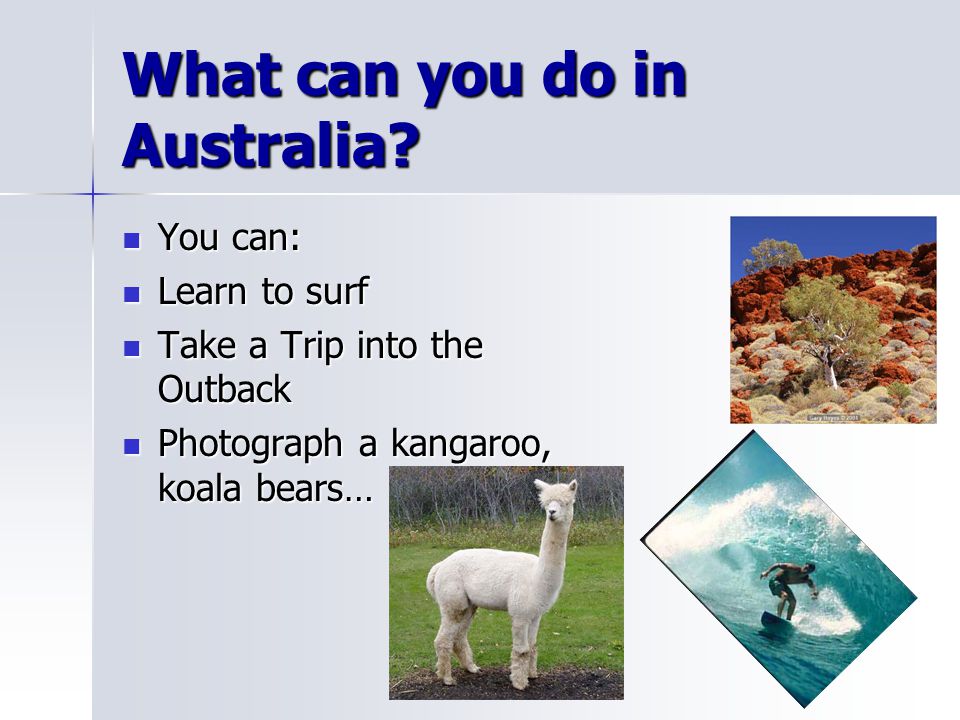 What can you do in Australia.