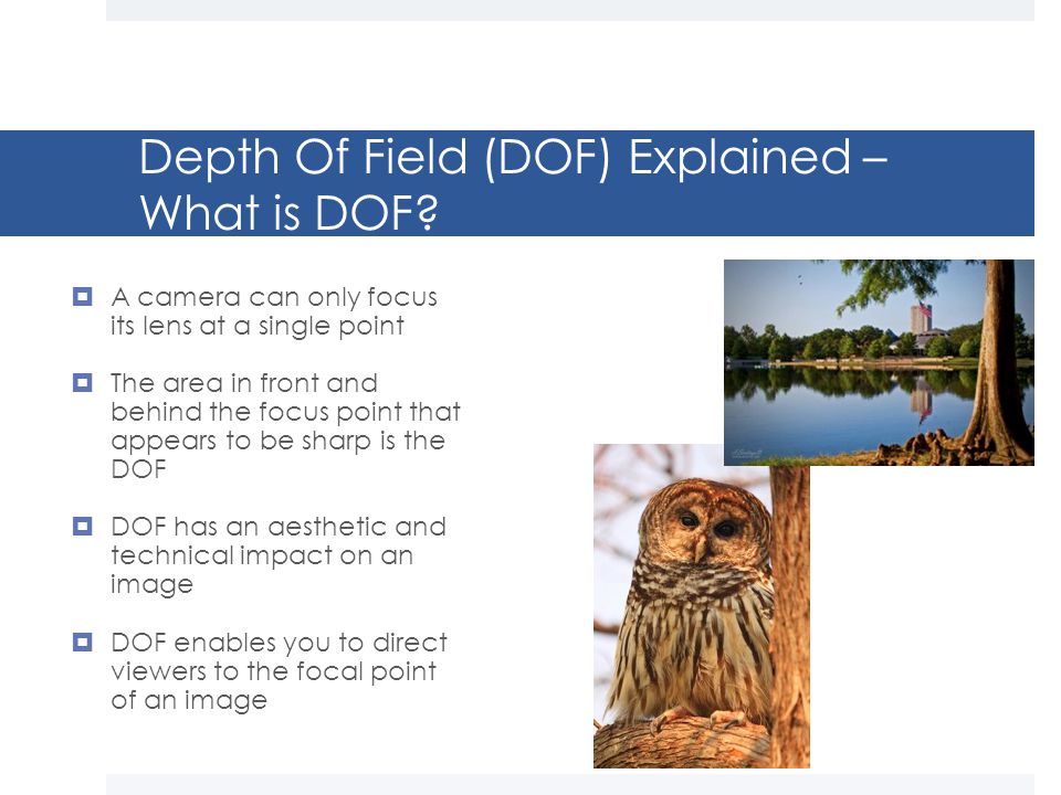 Depth Of Field (DOF) Explained – What is DOF.
