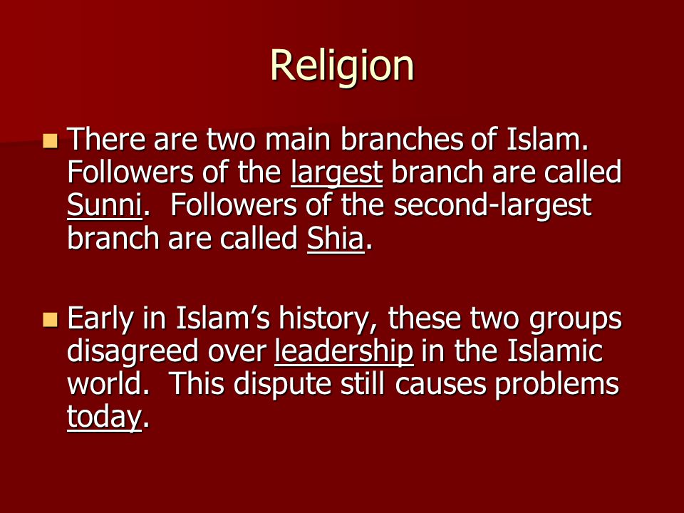 Religion There are two main branches of Islam. Followers of the largest branch are called Sunni.