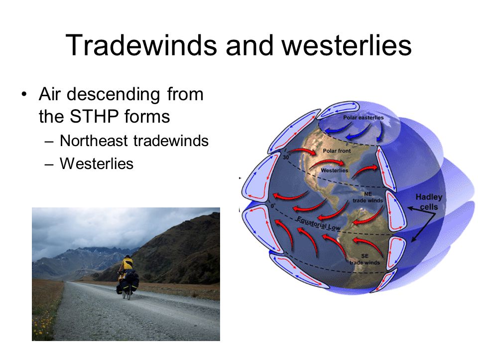 Tradewinds and westerlies Air descending from the STHP forms –Northeast tradewinds –Westerlies