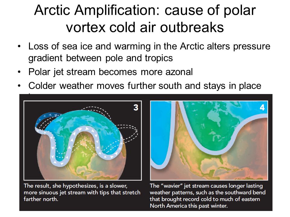 Arctic Amplification: cause of polar vortex cold air outbreaks Loss of sea ice and warming in the Arctic alters pressure gradient between pole and tropics Polar jet stream becomes more azonal Colder weather moves further south and stays in place longer