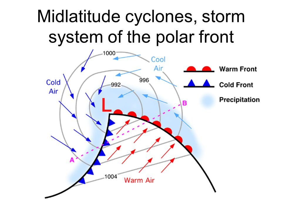 Midlatitude cyclones, storm system of the polar front