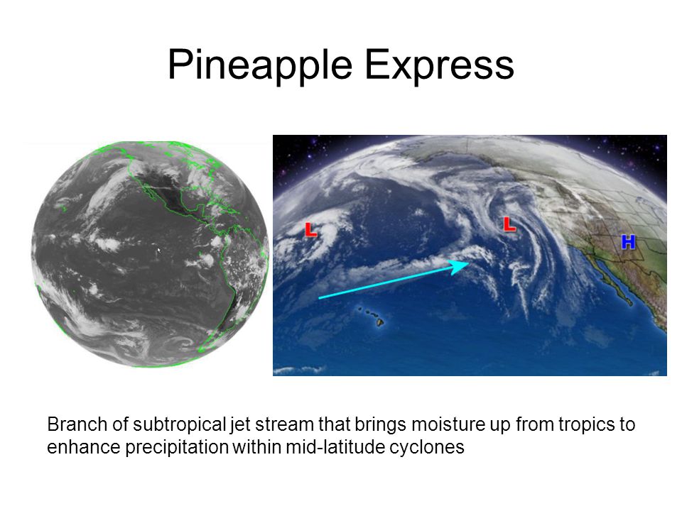 Pineapple Express Branch of subtropical jet stream that brings moisture up from tropics to enhance precipitation within mid-latitude cyclones