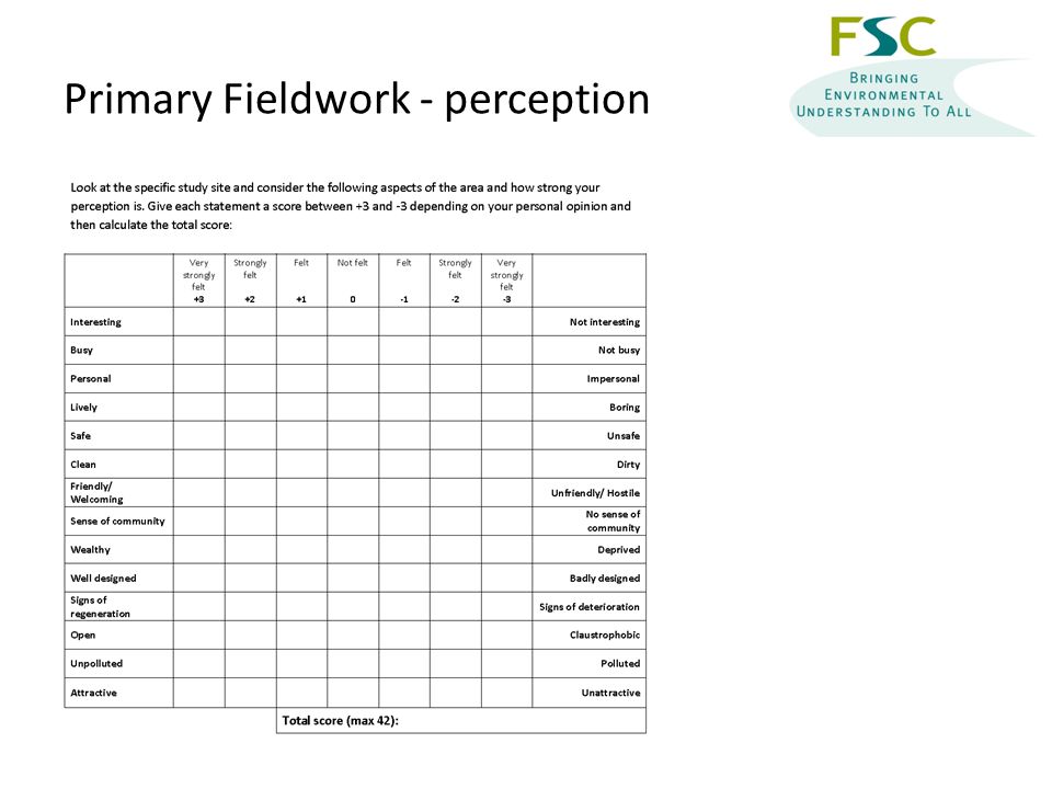Primary Fieldwork - perception