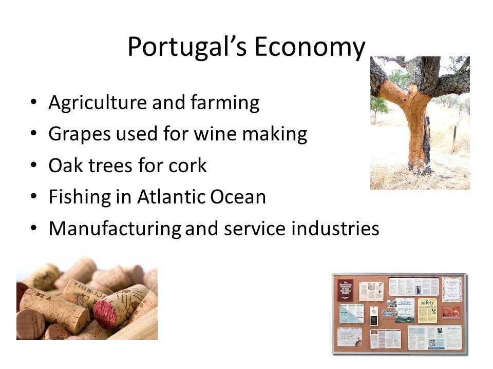Portugal’s Economy Agriculture and farming Grapes used for wine making Oak trees for cork Fishing in Atlantic Ocean Manufacturing and service industries