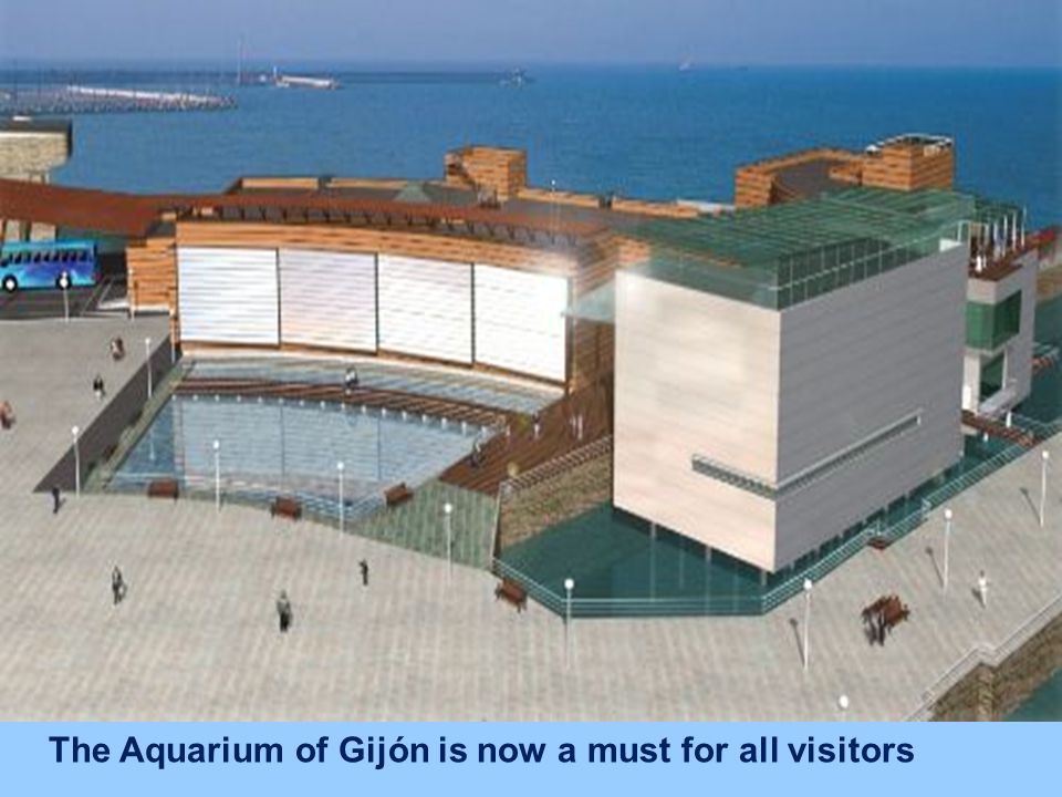 The Aquarium of Gijón is now a must for all visitors