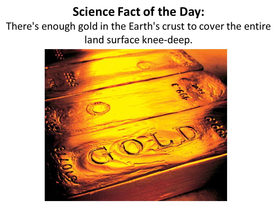 Science Fact of the Day: There s enough gold in the Earth s crust to cover the entire land surface knee-deep.