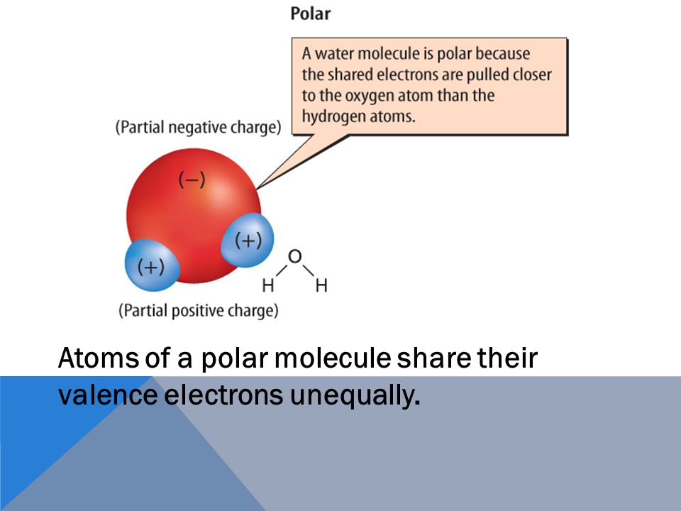 A molecule is a group of atoms held together by covalent bonding that acts as an independent unit.molecule A molecule that has a partial positive end and a partial negative end because of unequal sharing of electrons is a polar molecule.polar molecule Covalent Compounds (cont.)