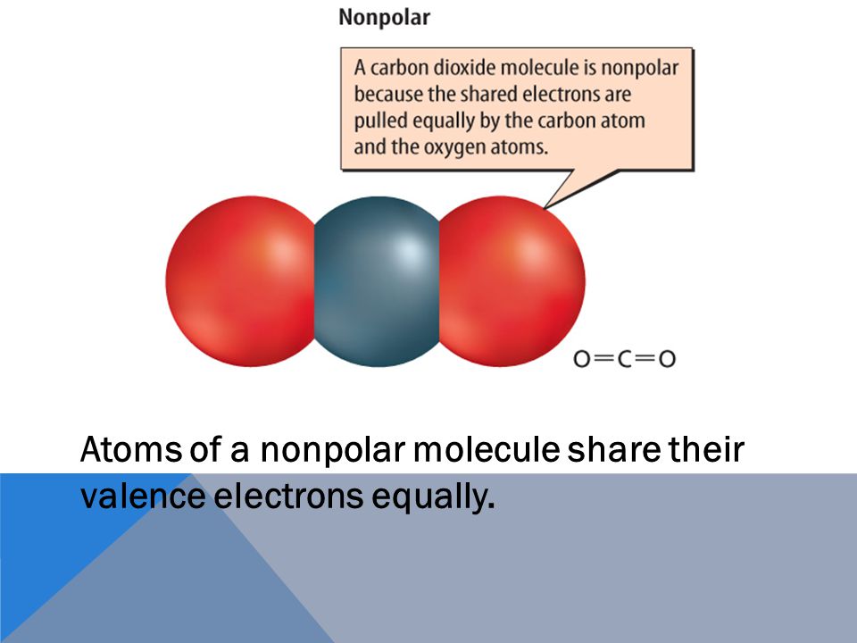 Atoms of a polar molecule share their valence electrons unequally.