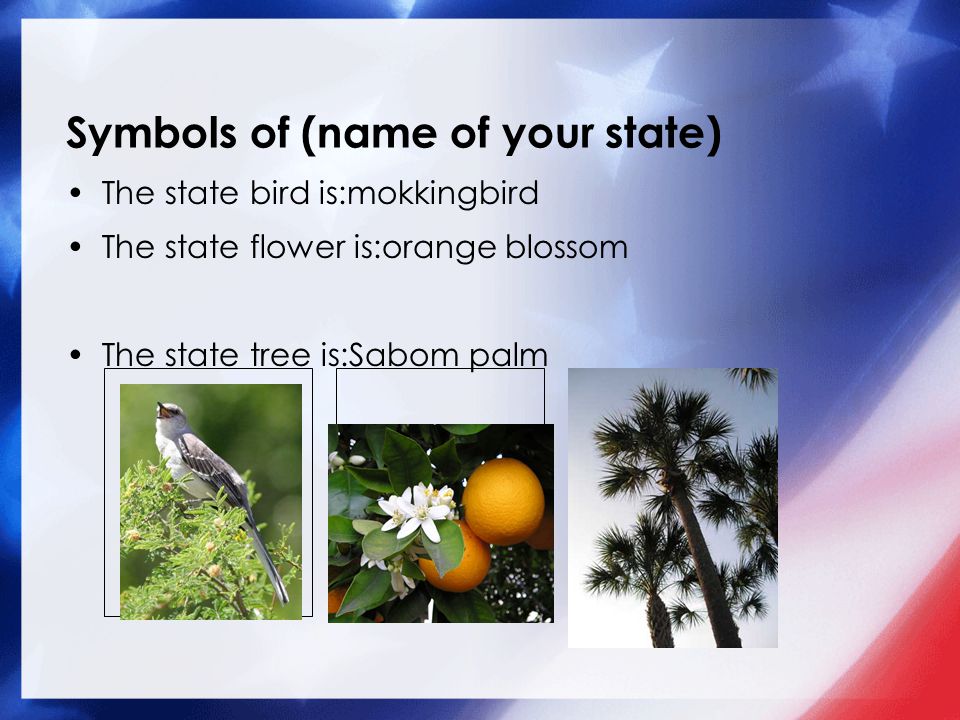 Symbols of (name of your state) The state bird is:mokkingbird The state flower is:orange blossom The state tree is:Sabom palm Add a picture here.