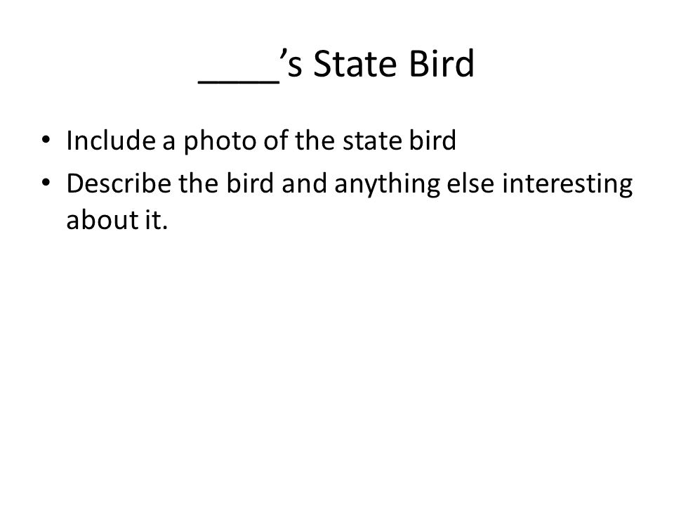 ____’s State Bird Include a photo of the state bird Describe the bird and anything else interesting about it.