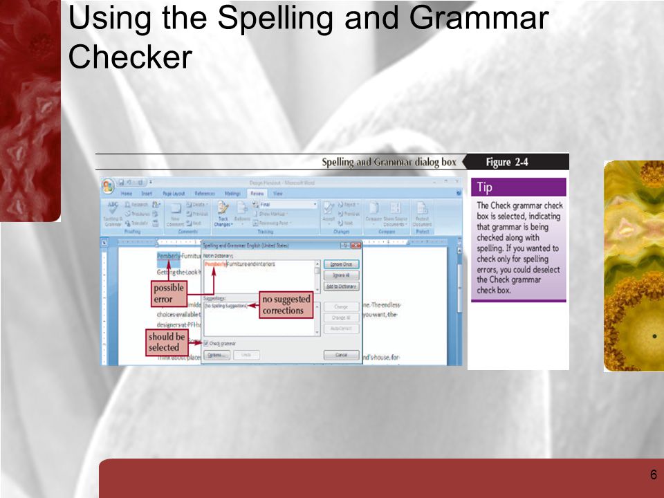 6 Using the Spelling and Grammar Checker