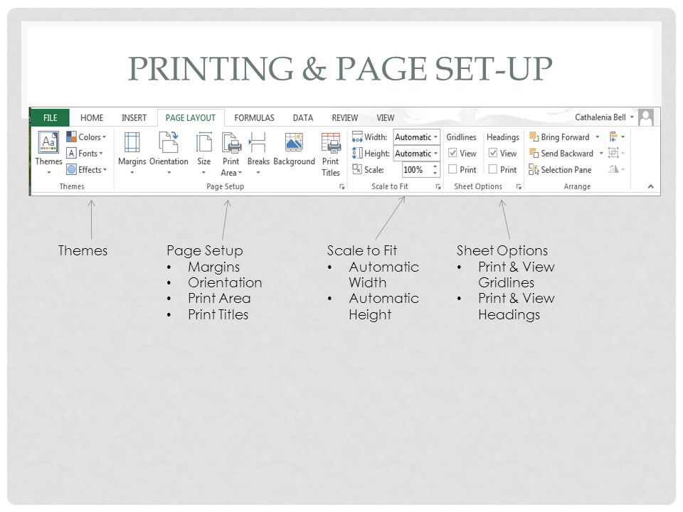 PRINTING & PAGE SET-UP ThemesPage Setup Margins Orientation Print Area Print Titles Scale to Fit Automatic Width Automatic Height Sheet Options Print & View Gridlines Print & View Headings
