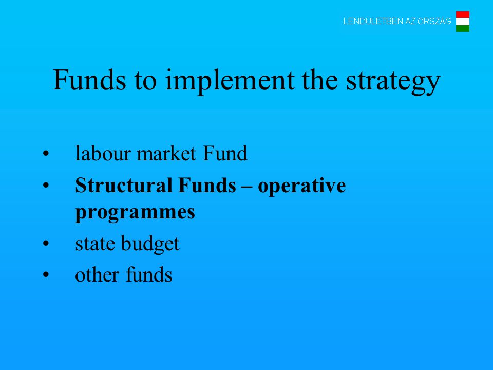 Funds to implement the strategy labour market Fund Structural Funds – operative programmes state budget other funds