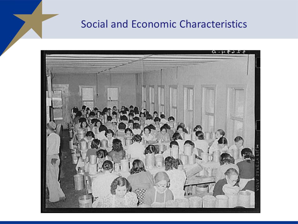 Social and Economic Characteristics