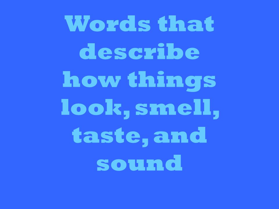 Words that describe how things look, smell, taste, and sound