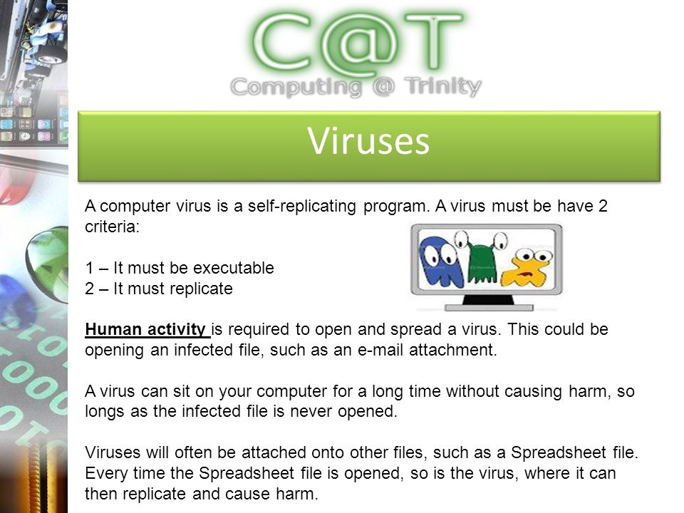 Viruses A computer virus is a self-replicating program.