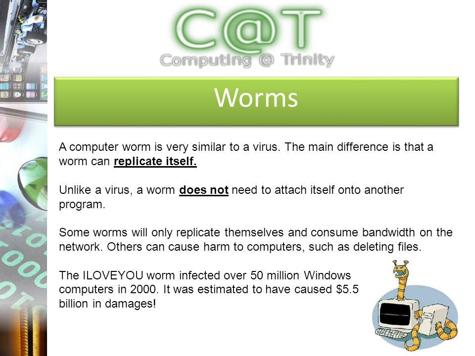Worms A computer worm is very similar to a virus.