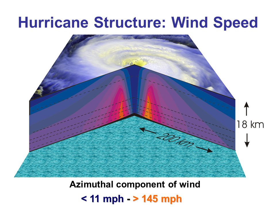 Hurricane Structure: Wind Speed Azimuthal component of wind 145 mph 145 mph