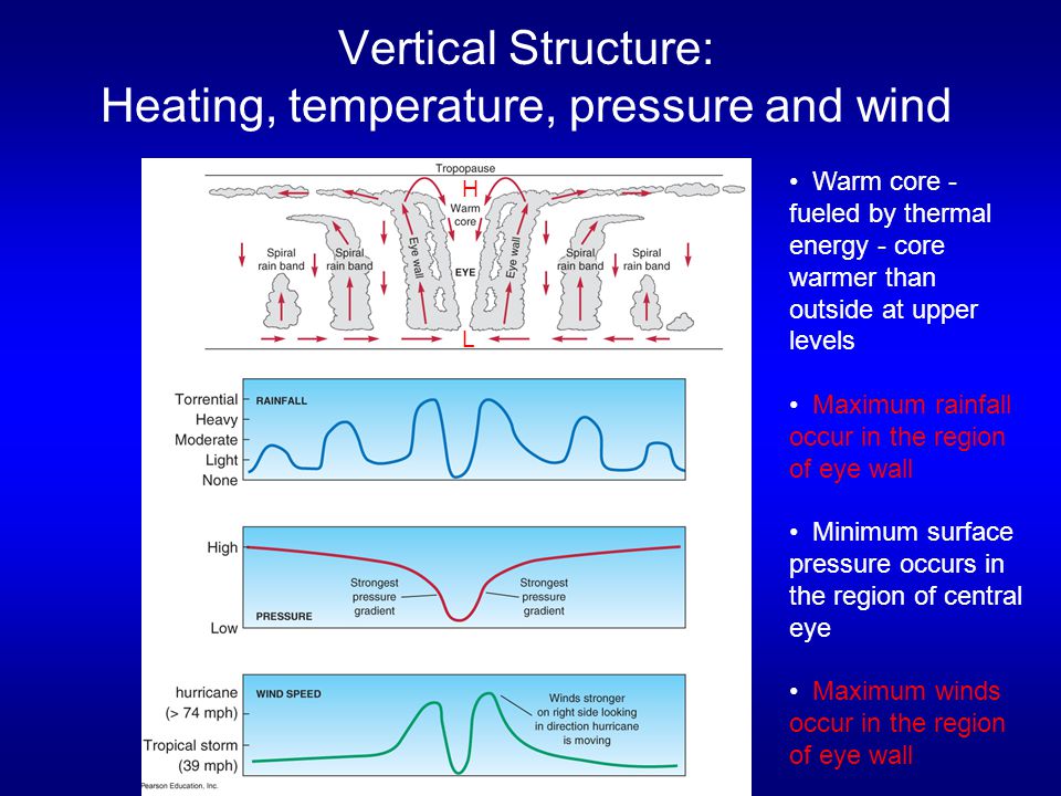 Vertical Structure: Heating, temperature, pressure and wind Warm core - fueled by thermal energy - core warmer than outside at upper levels Maximum rainfall occur in the region of eye wall Minimum surface pressure occurs in the region of central eye Maximum winds occur in the region of eye wall L H