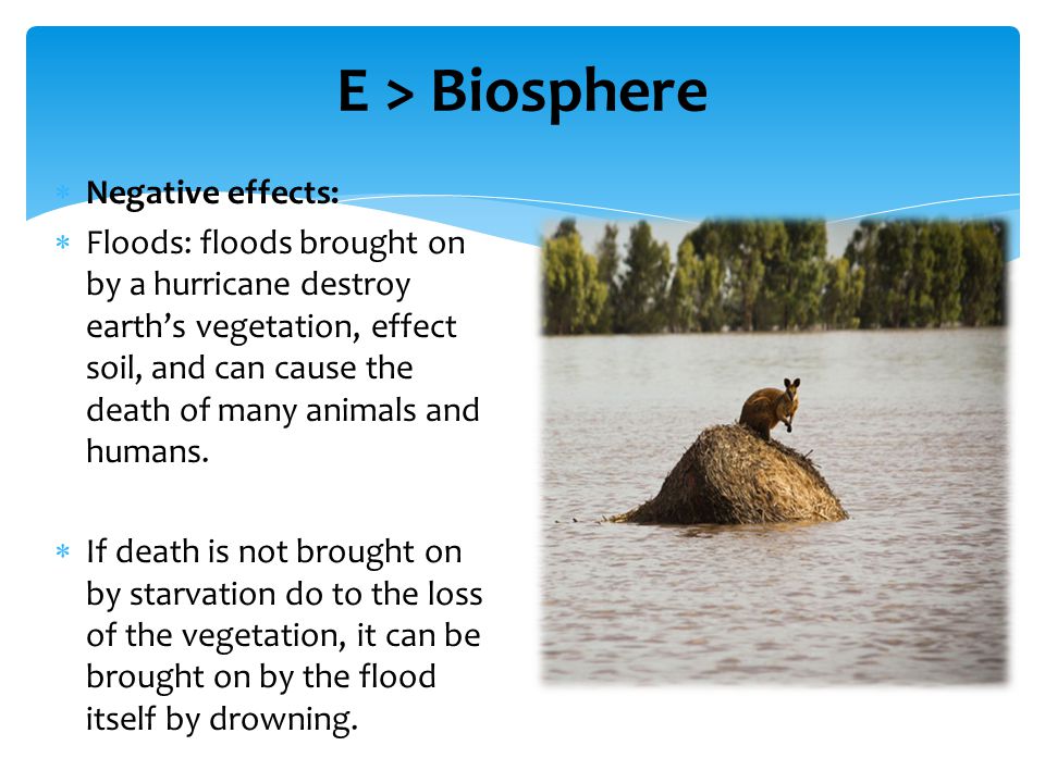 Team 12 – Cycle B Galveston Hurricane of 1900 EDTC November 13, ppt ...