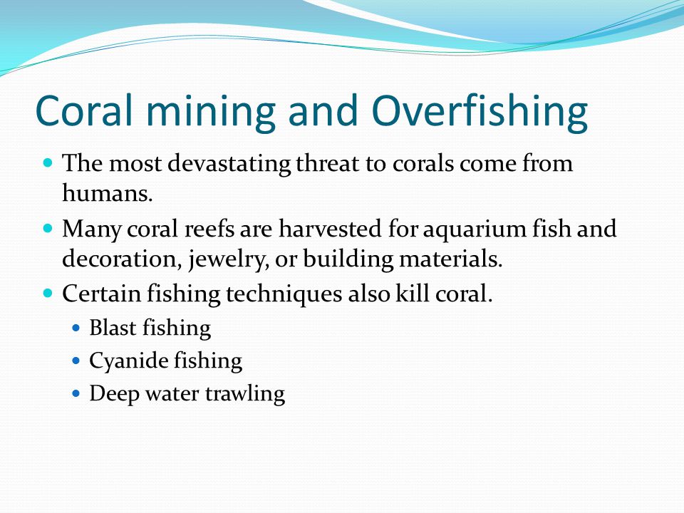 Coral mining and Overfishing The most devastating threat to corals come from humans.