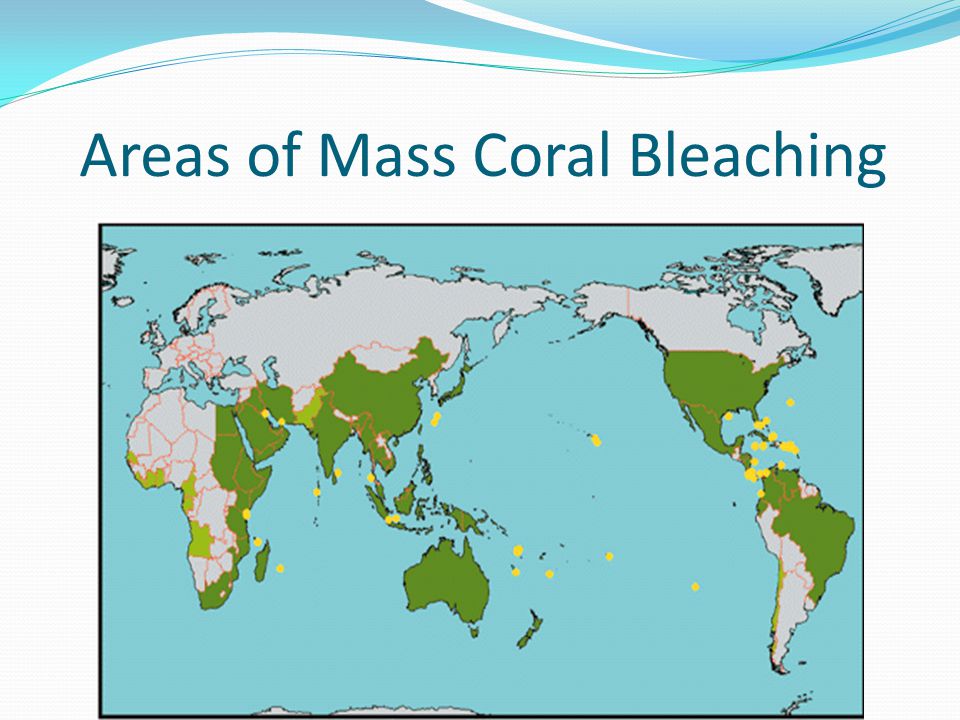 Areas of Mass Coral Bleaching