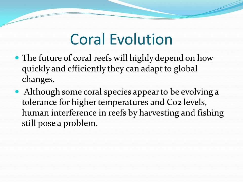 Coral Evolution The future of coral reefs will highly depend on how quickly and efficiently they can adapt to global changes.