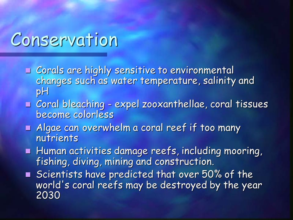 Conservation Corals are highly sensitive to environmental changes such as water temperature, salinity and pH Corals are highly sensitive to environmental changes such as water temperature, salinity and pH Coral bleaching - expel zooxanthellae, coral tissues become colorless Coral bleaching - expel zooxanthellae, coral tissues become colorless Algae can overwhelm a coral reef if too many nutrients Algae can overwhelm a coral reef if too many nutrients Human activities damage reefs, including mooring, fishing, diving, mining and construction.