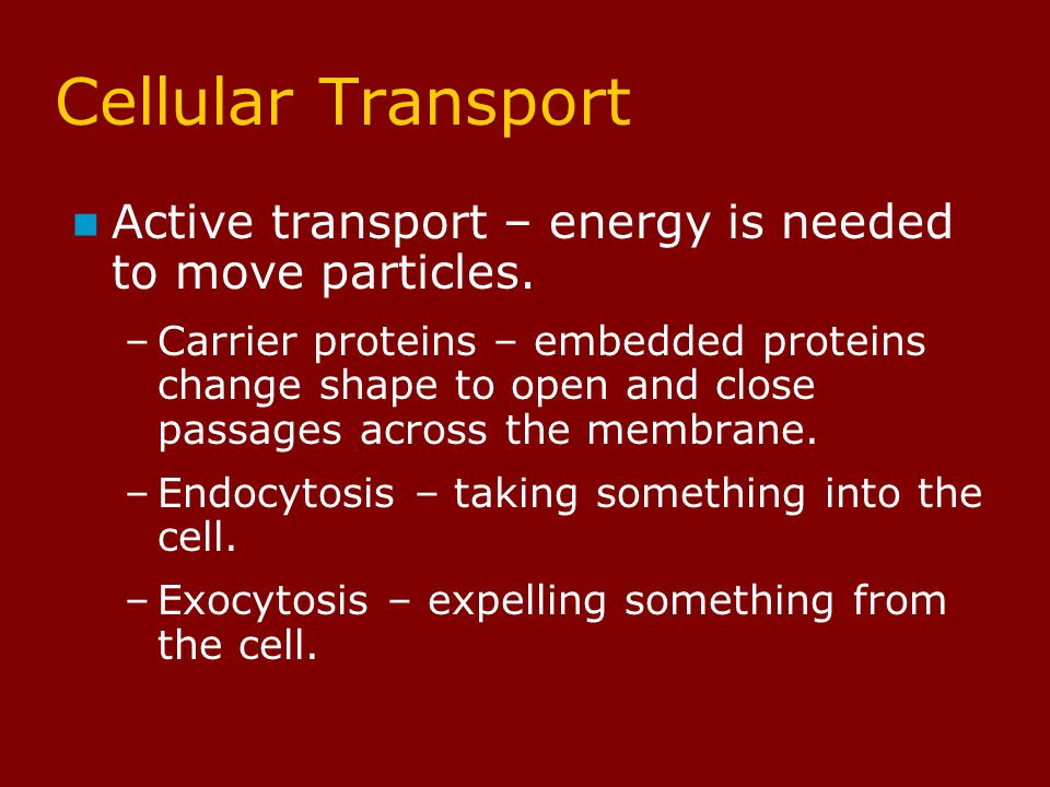 Active transport – Energy is needed to move particles.