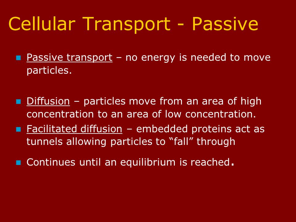 Cellular Transport - Passive