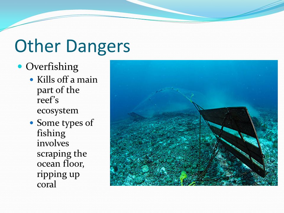 Other Dangers Overfishing Kills off a main part of the reef’s ecosystem Some types of fishing involves scraping the ocean floor, ripping up coral
