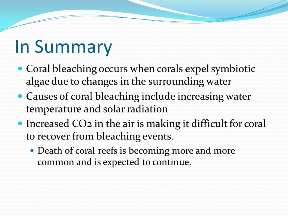 In Summary Coral bleaching occurs when corals expel symbiotic algae due to changes in the surrounding water Causes of coral bleaching include increasing water temperature and solar radiation Increased CO2 in the air is making it difficult for coral to recover from bleaching events.