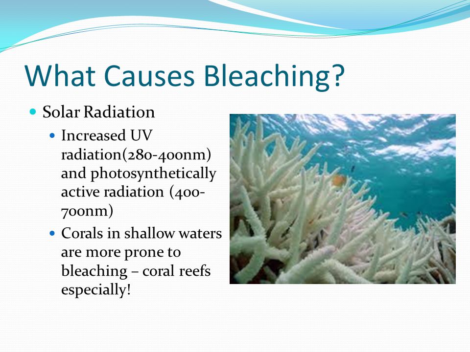 What Causes Bleaching.