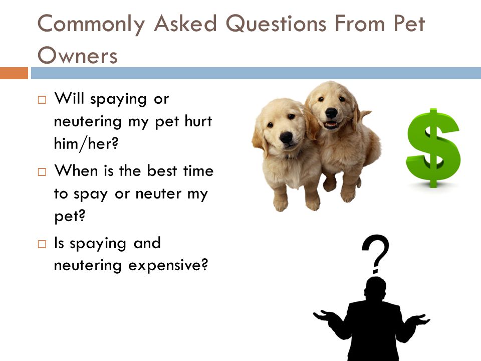 Commonly Asked Questions From Pet Owners  Will spaying or neutering my pet hurt him/her.