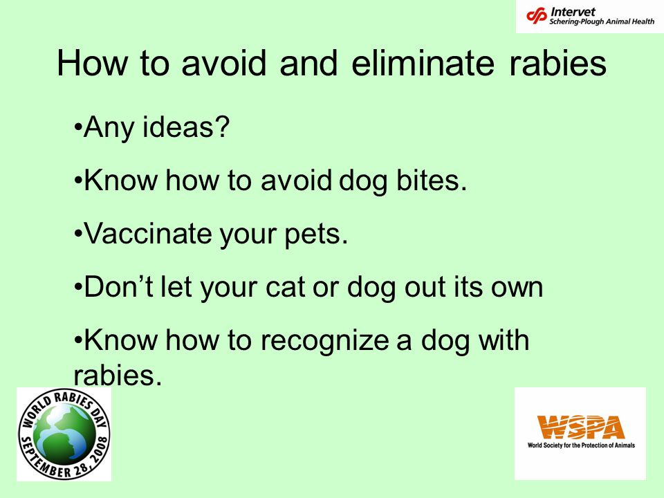 How to avoid and eliminate rabies Any ideas. Know how to avoid dog bites.