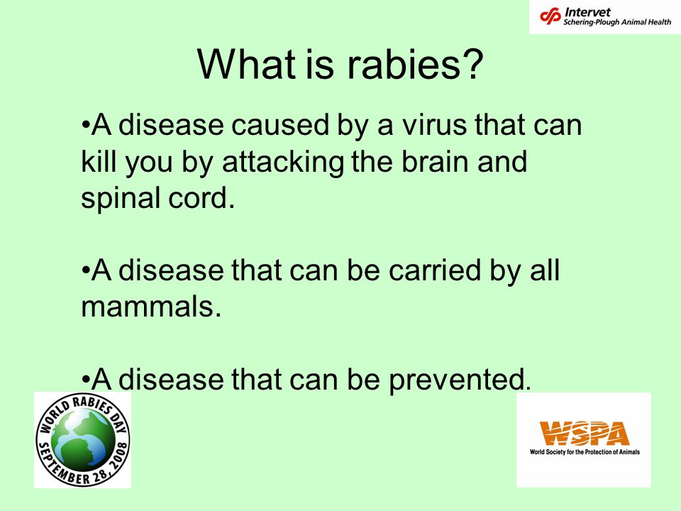 What is rabies.