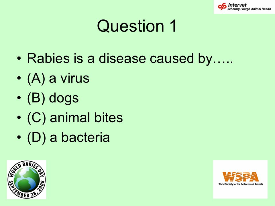 Question 1 Rabies is a disease caused by….. (A) a virus (B) dogs (C) animal bites (D) a bacteria
