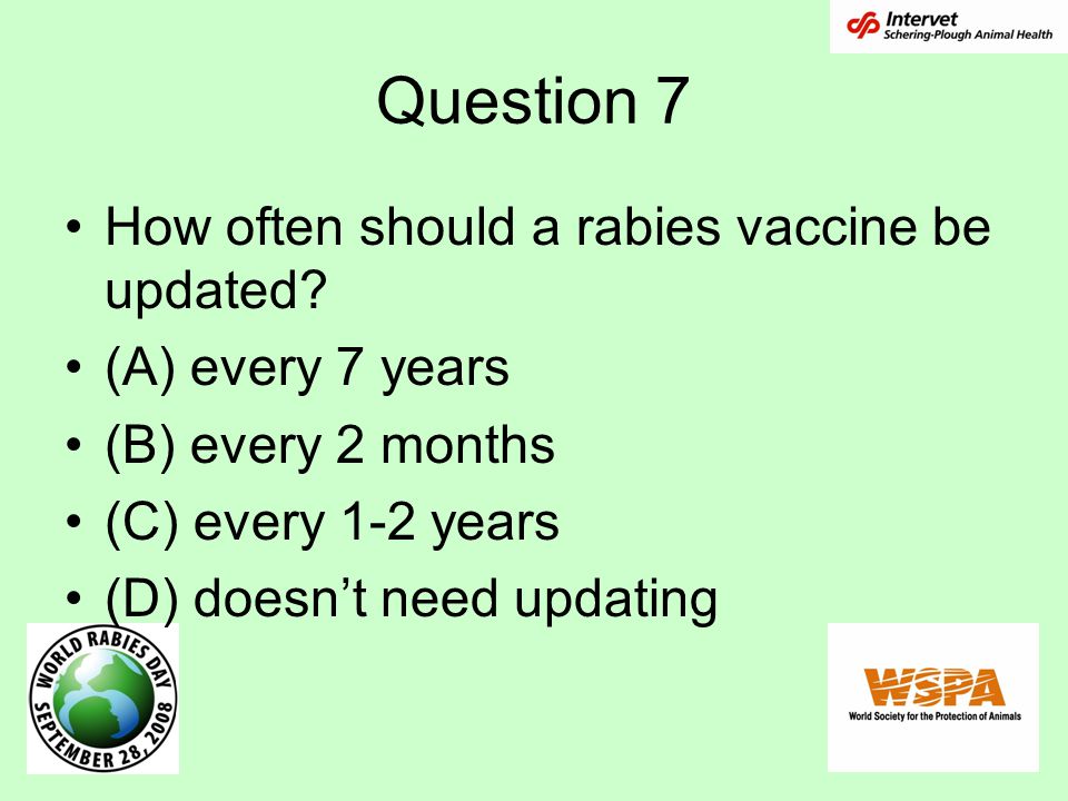 Question 7 How often should a rabies vaccine be updated.