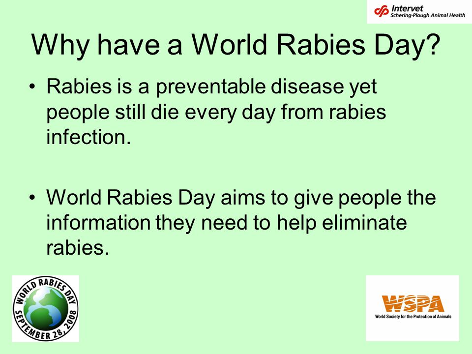 Why have a World Rabies Day.