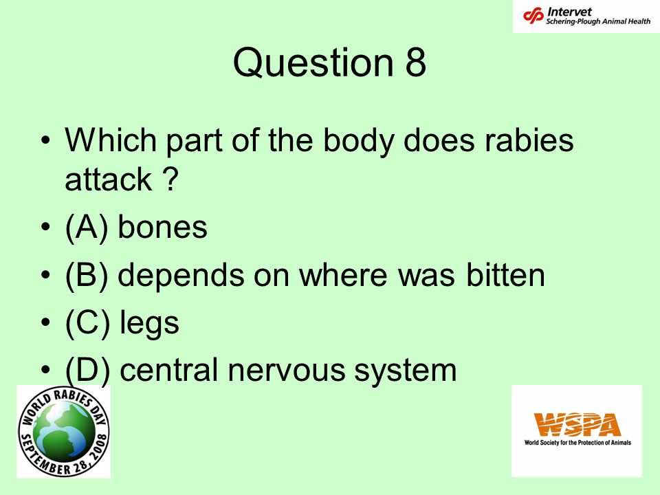 Question 8 Which part of the body does rabies attack .