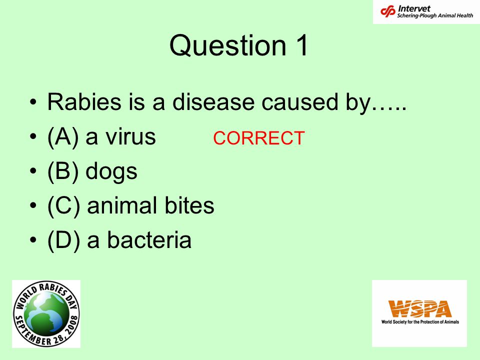 Question 1 Rabies is a disease caused by…..