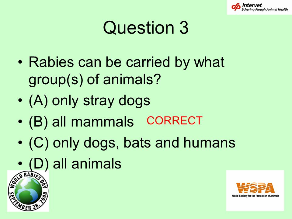 Question 3 Rabies can be carried by what group(s) of animals.