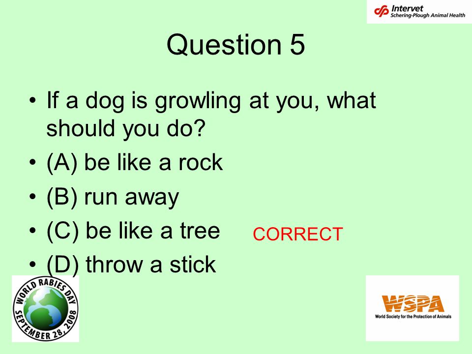 Question 5 If a dog is growling at you, what should you do.