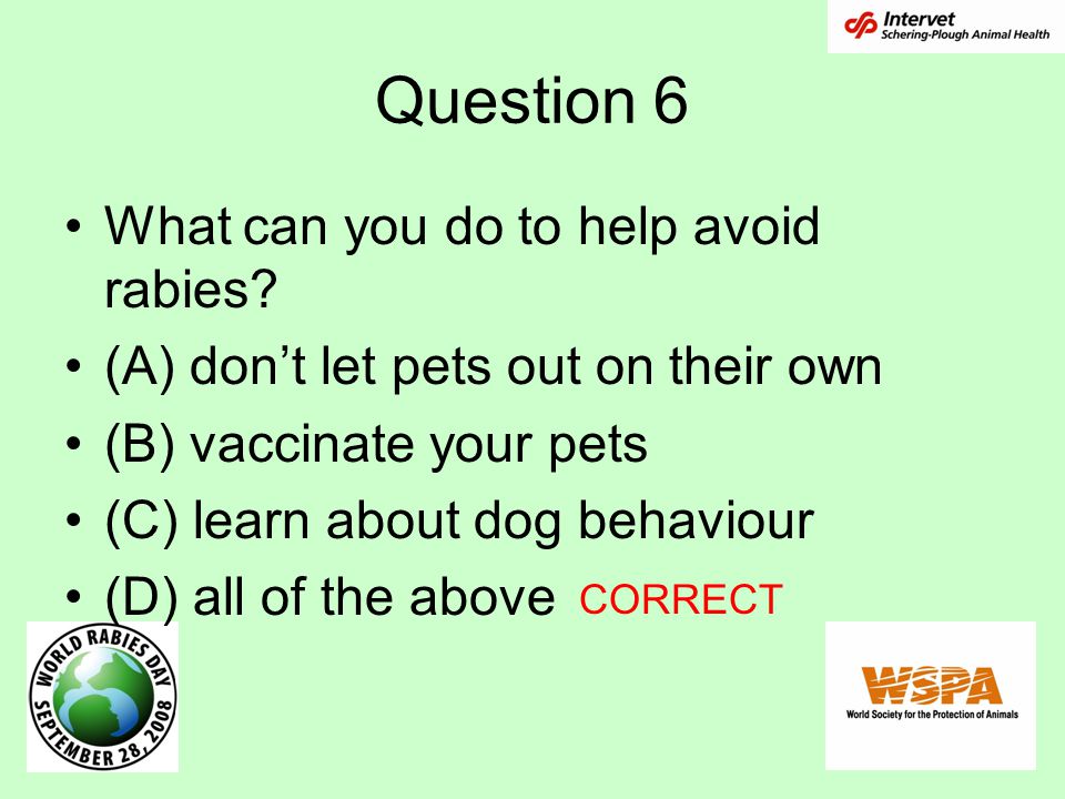 Question 6 What can you do to help avoid rabies.