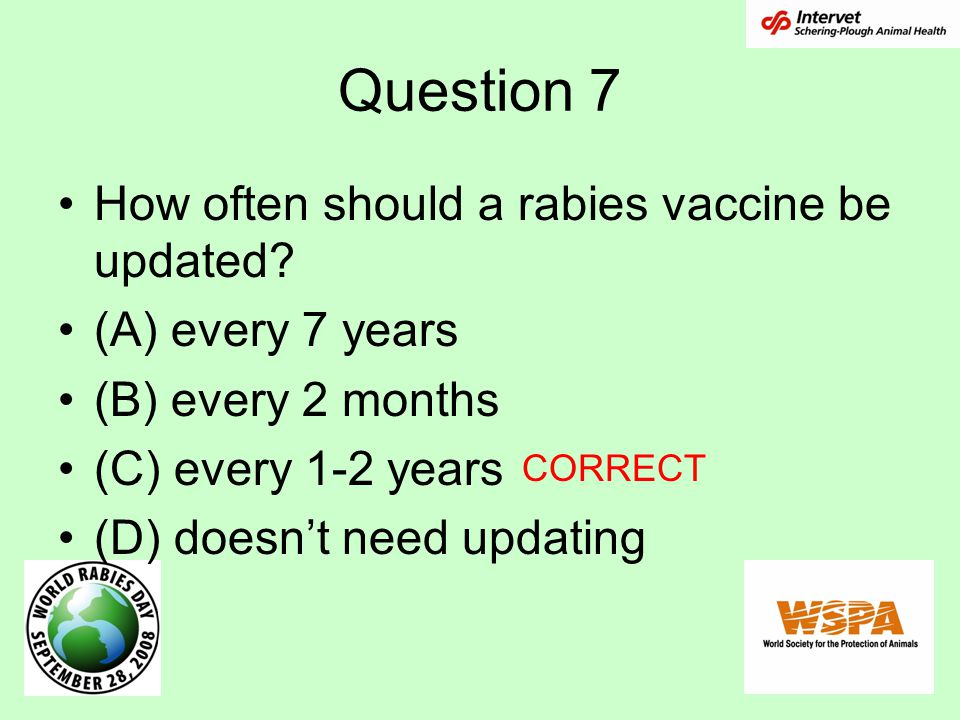 Question 7 How often should a rabies vaccine be updated.