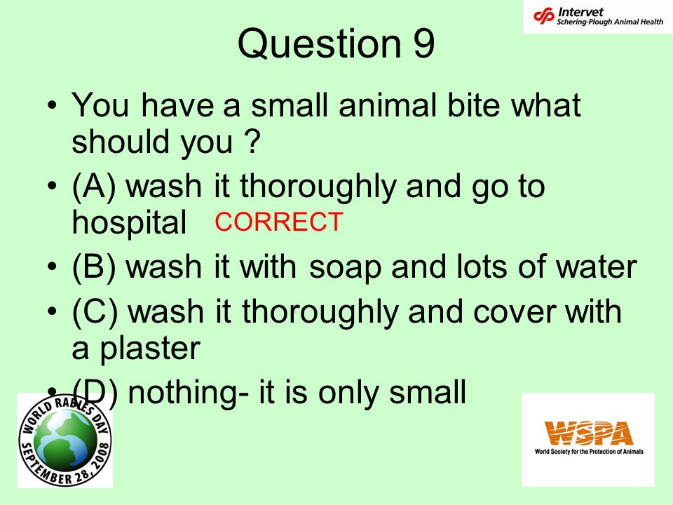 Question 9 You have a small animal bite what should you .