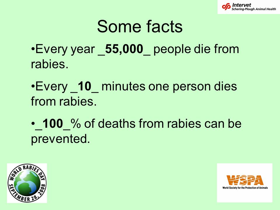 Some facts Every year _55,000_ people die from rabies.