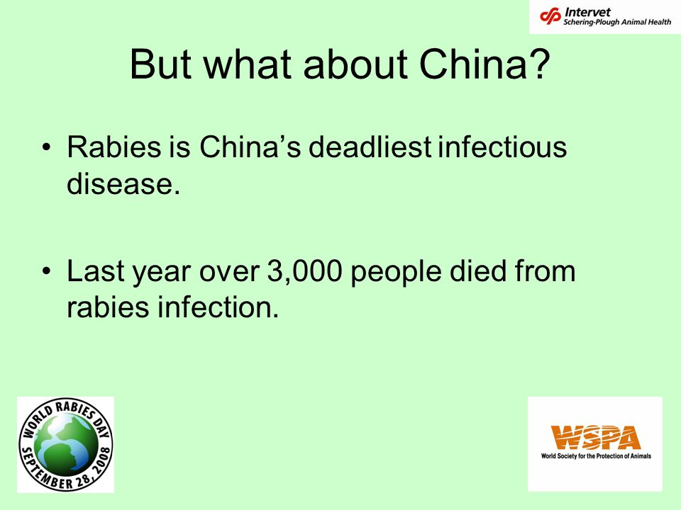 But what about China. Rabies is China’s deadliest infectious disease.