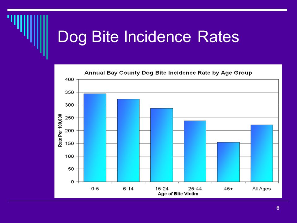 6 Dog Bite Incidence Rates